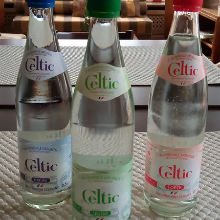 Restaurant Le Bristol נידרברון-לה-בה