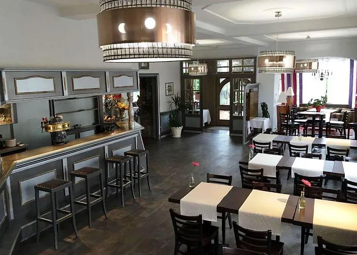 Restaurant Le Bristol Niederbronn-les-Bains