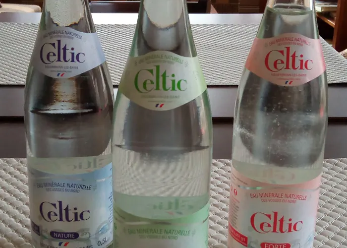 Restaurant Le Bristol Niederbronn-les-Bains