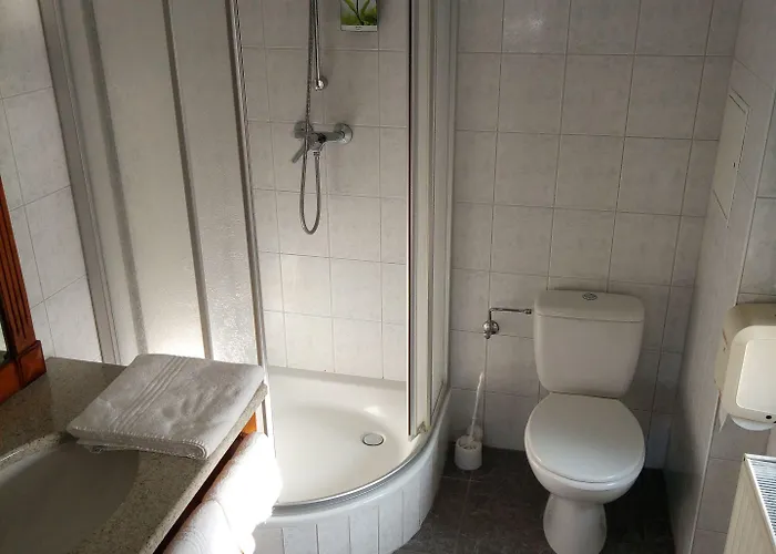 Restaurant Le Bristol 3* Niederbronn-les-Bains