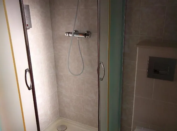 Hotel Restaurant Le Bristol Niederbronn-les-Bains